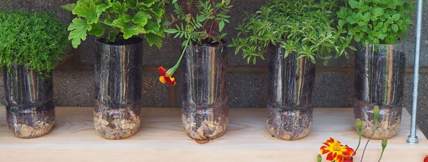 DIY planten bloempotten idee met plastic flessen